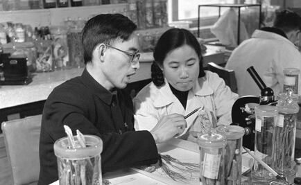 Prueban posible vacuna contra la malaria