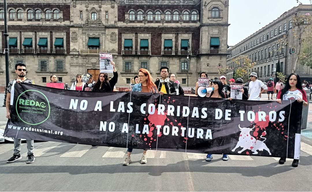 Asociación pide que iniciativa de ley antitaurina en la CDMX suba al pleno