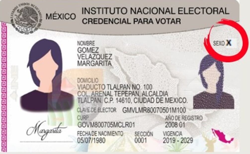 El género no binario se especificará en la mica. Foto: INE