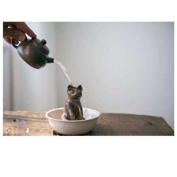Foto: @bitterleafteas