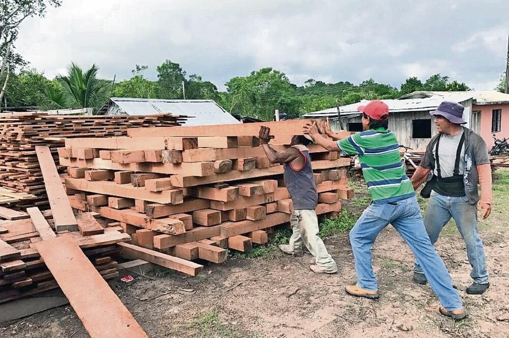 El embarque de salió el jueves del aserradero de Caobas con destino a Puerto Progreso, Yucatán, y de ahí se irá en un buque a Estados Unidos. (ESPECIAL)