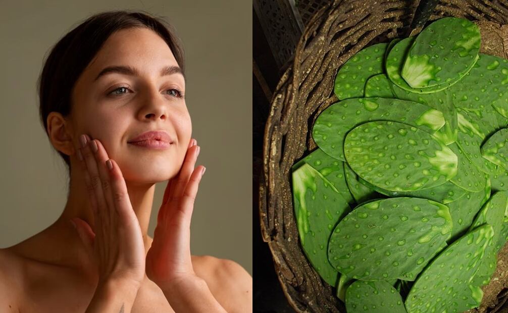 Baba de nopal para la cara. Foto: Freepik / Wikimedia Commons