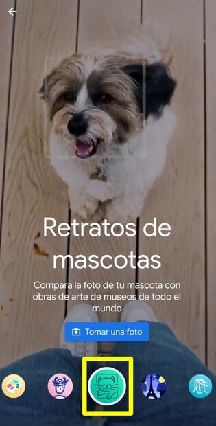 Esta app te ayuda a encontrar el gemelo de tu perrito en ¡obras de arte!