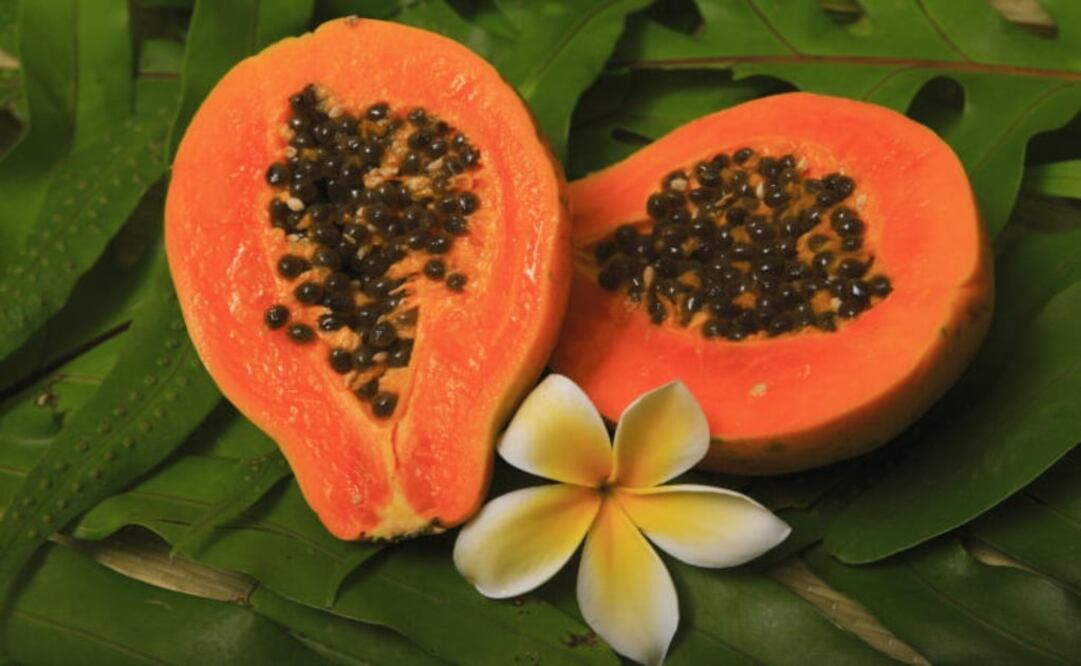 Conoce todo lo que la papaya puede hacer por tu piel / Foto: Pexels