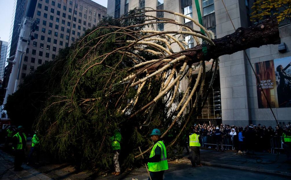 El árbol de navidad de The Rockefeller Center en la Rockefeller Plaza de Nueva York el 08 November 2025. Foto: EFE /JULIUS CONSTANTINE MOTAL