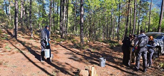 Encuentran fragmentos óseos en rastreo