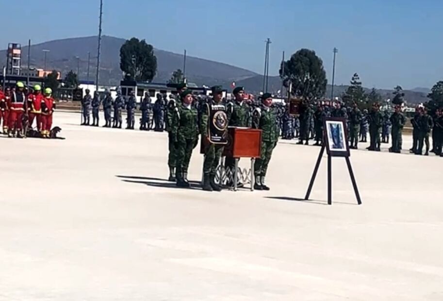 "Bienvenido a México, Proteo": reciben al perro rescatista que murió en Turquía