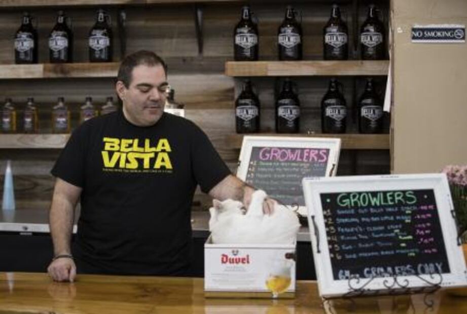 Albergue encuentra el empleo perfecto para gatos huraños