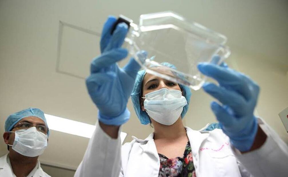 Las células del cuerpo producen una gran cantidad de proteínas de defensa para protegernos de los virus. Foto: Archivo