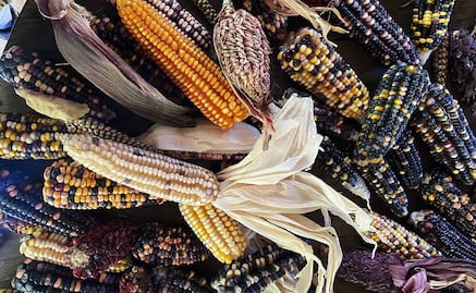 Ozolco, tierra de maíces y pulque
