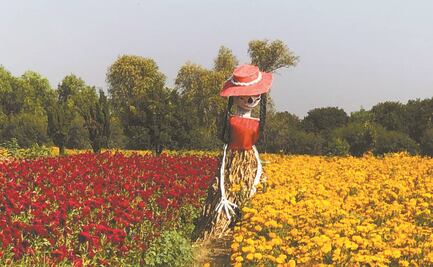 Familia de Tlaxcoapan vive de la muerte: producen ataúdes