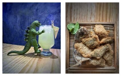 Kaito: operación del izakaya