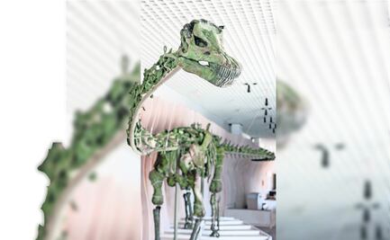 Un dinosaurio de 23 metros  de largo es el nuevo inquilino del  Museo de Historia Natural de Los Ángeles 