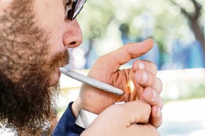 Cofepris revoca los lineamientos de cannabis