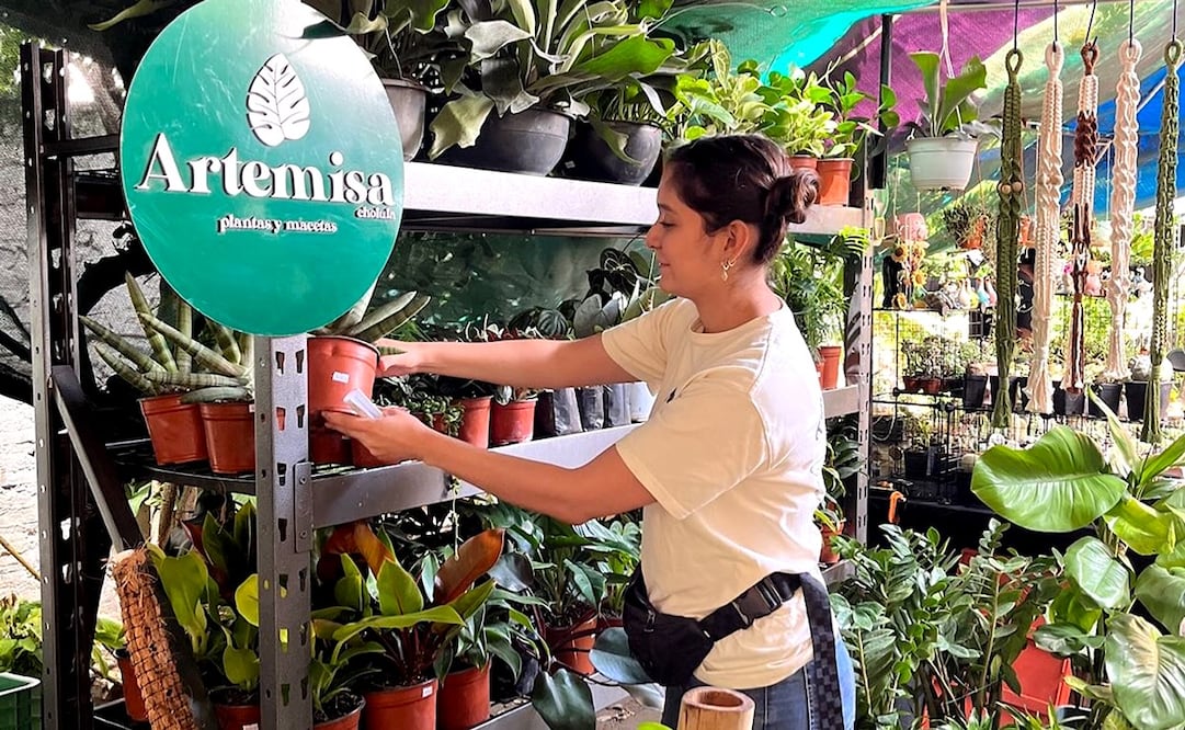 Lánzate al Plant Fest CDMX y aprende todo sobre el cuidado de plantas. Foto: Facebook Plant Fest