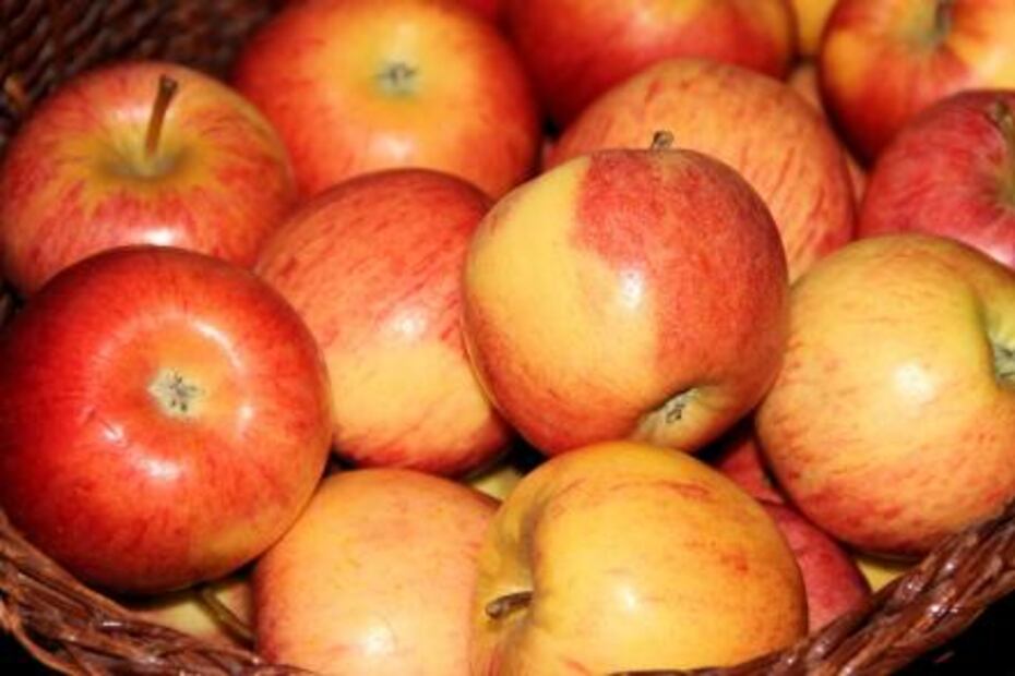 La variedad de manzanas y sus beneficios
