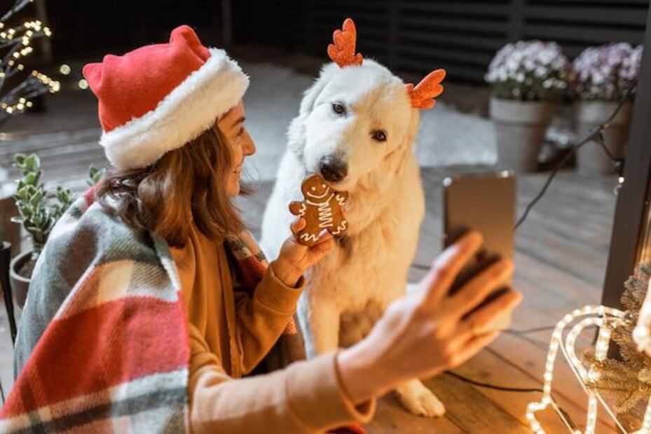 Adornos navideños y mascotas. Fuente: Freepik.