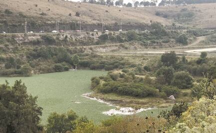 Exigen rehabilitar la Presa Madín