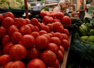 PRI exige apoyo para productores agrícolas ante posible arancel de EU al jitomate; "ojalá no pase de una amenaza", dice