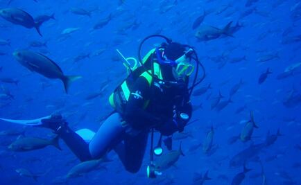El mejor sitio para bucear en el mundo
