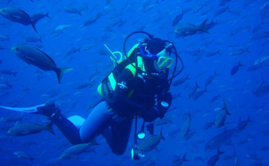Las islas Galápagos son el mejor lugar para bucear en el mundo, de acuerdo con la agencia promotora de turismo Qyer y la revista Chinese National Geography. (Foto: Anthony Patterson)