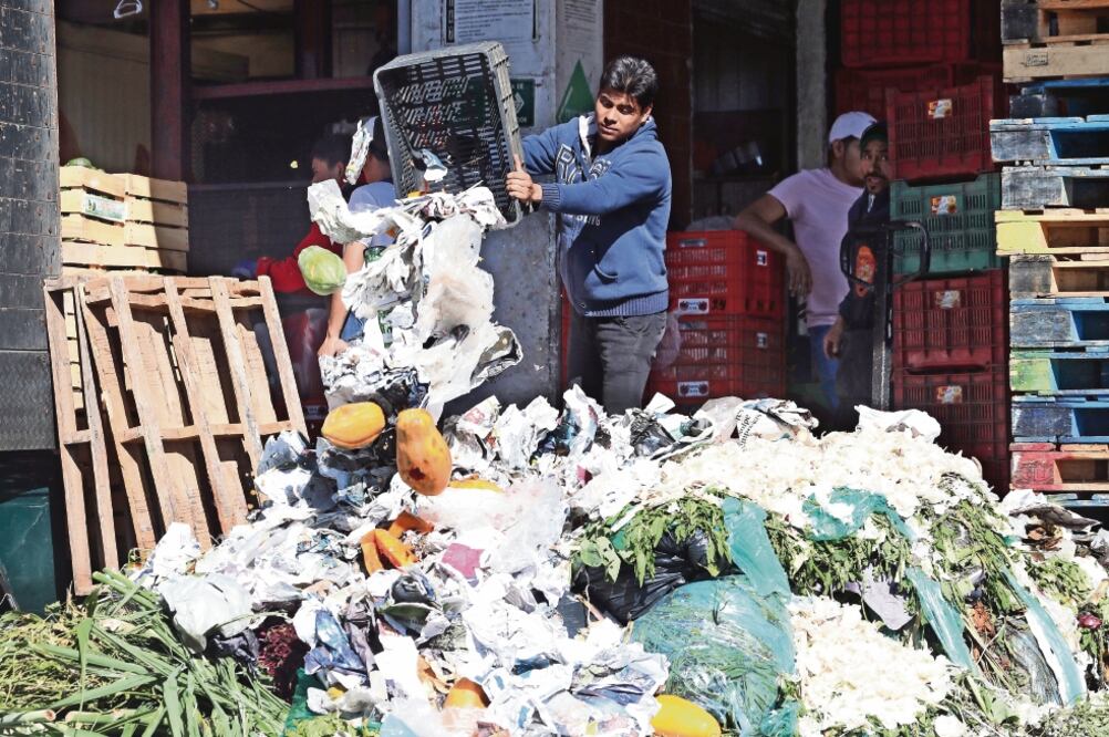 Debido a que no ha podido conseguir trabajo desde hace un año, Celia, originaria de Iztapalapa, asegura que tuvo que vencer la pena de levantar desperdicios, porque “o recojo alimentos de aquí o me muero de hambre”. (FOTOS: ARIEL OJEDA. EL UNIVERSAL)
