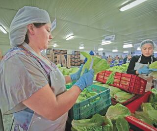 Pandemia, crisis y políticas abruman al campo, denuncia CNA