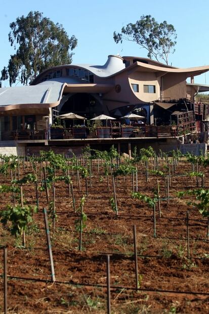 Ensenada: guía de viaje por la Ruta del Vino