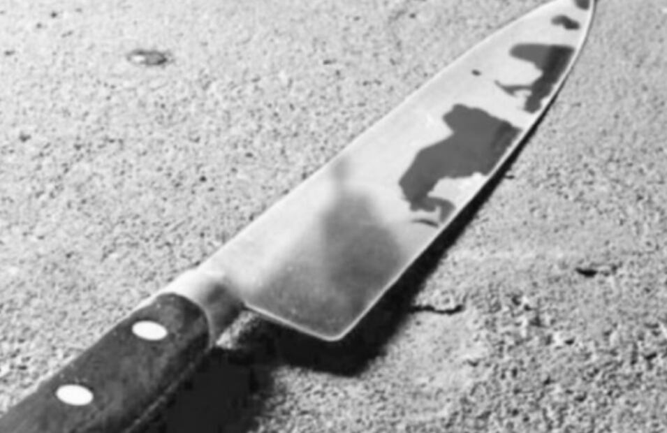 La mujer fue atacada con arma blanca por su propio hijo. Foto: Archivo