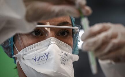 Neutralizan al Covid-19 con anticuerpos de llamas y huevos