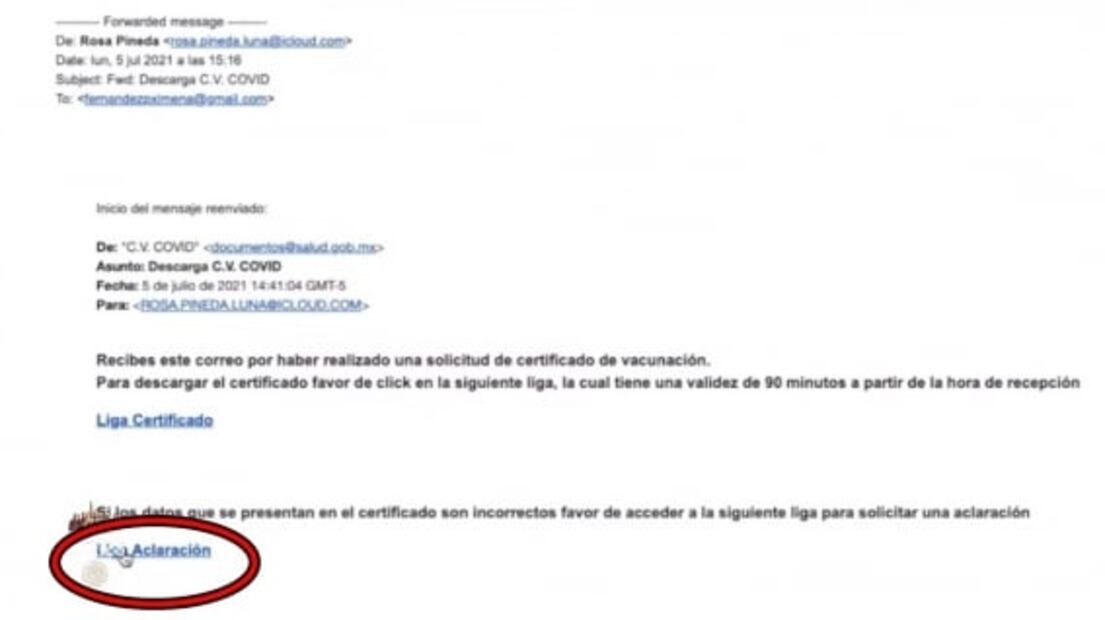 Este es el proceso, paso a paso, para obtener el certificado de vacunación Covid