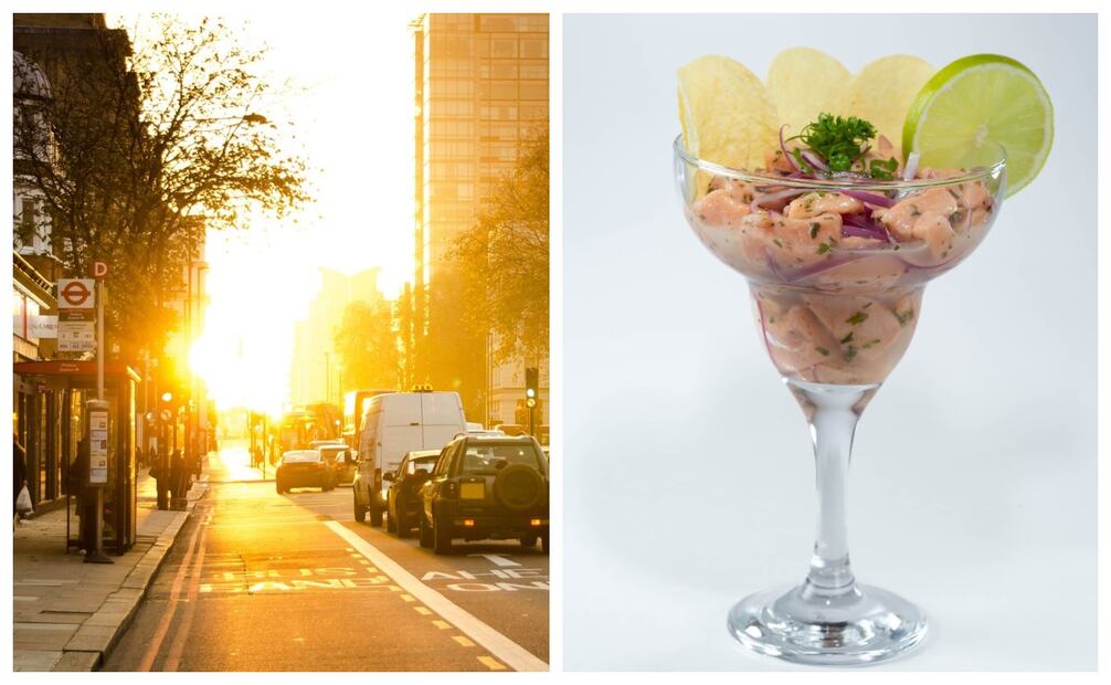 Especialistas recomiendan no comer mariscos crudos en la calle durante la temporada de calor en canícula. Imagen: Pexels.