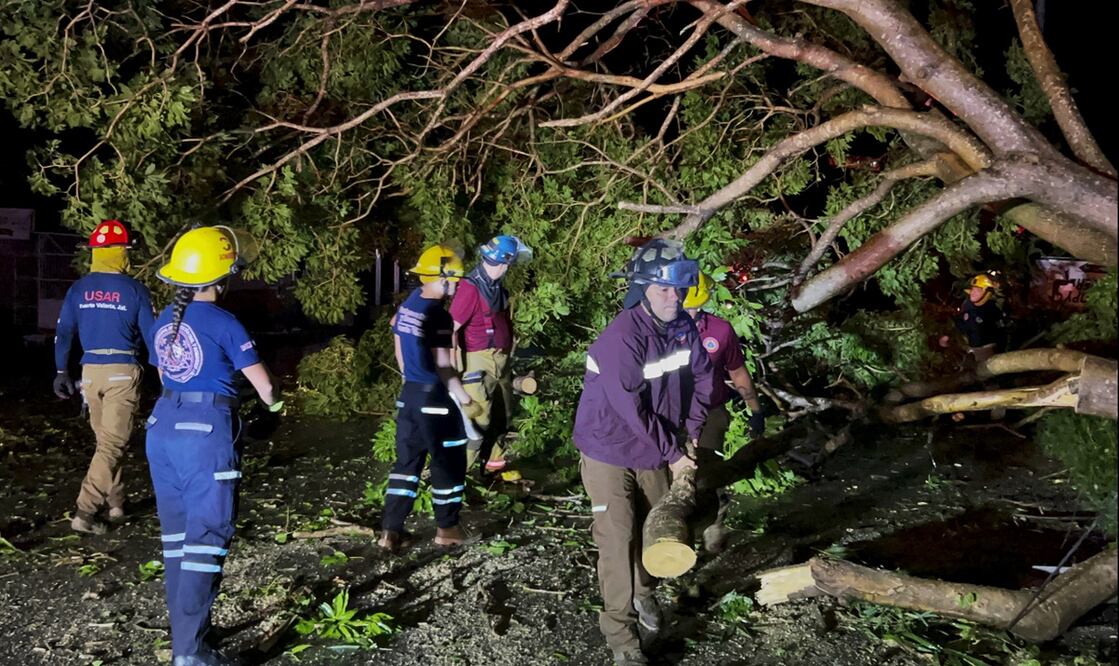 Cuerpos de rescate retiran un árbol caído en Puerto Vallarta, tras el paso del huracán Lidia. Foto: AP