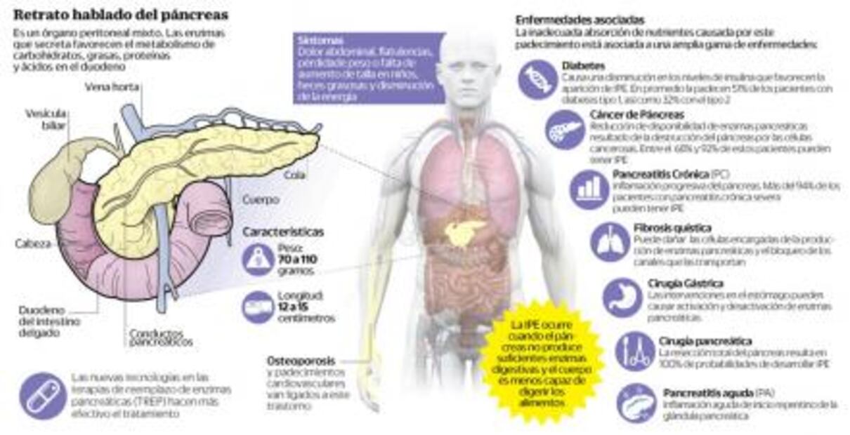 Fabricarán detergente ecológico a partir de una proteína del páncreas