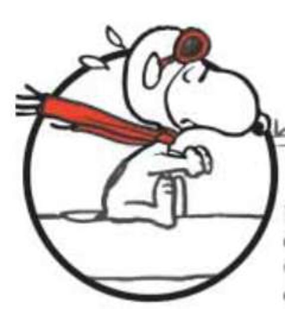 Barón Rojo Fuente: Museo Charles M. Schulz (schulzmuseum.oral.