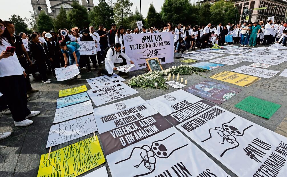 Veterinarios de Toluca, Metepec, Lerma y San Mateo Atenco marcharon hacia la Plaza de los Mártires, en la capital del Estado de México, donde guardaron un minuto de silencio. Foto: Jorge Alvarado / EL UNIVERSAL