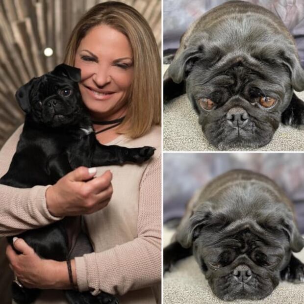 Estos son los adorables perros de la “Doctora Polo” de “Caso Cerrado”