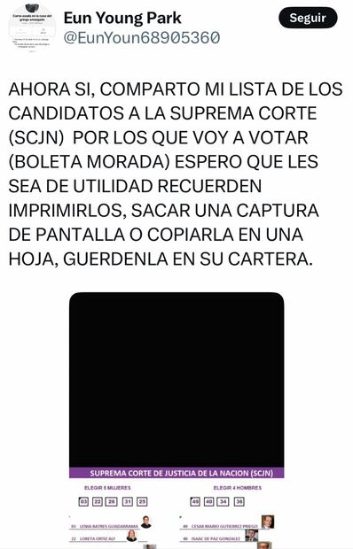 Personajes ligados a la Cuarta Transformación hacen públicas sus intenciones de voto para el próximo 1 de junio, como Manuel Pedrero, que se identifica como periodista y es cercano a la 4T; Fabrizio Mejía, escritor y analista, y Aleida Hernández, abogada y analista política en Canal Once y Canal 22. Fotos: Captura de pantalla