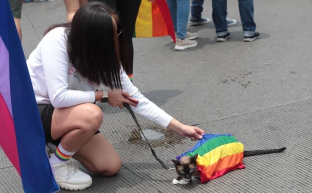 Marcha LGBT 2022 CDMX: Minuto a Minuto EN VIVO 