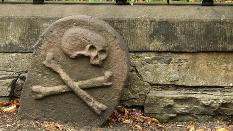 "El polen nos dice que la peste negra fue terrible... pero no tanto"