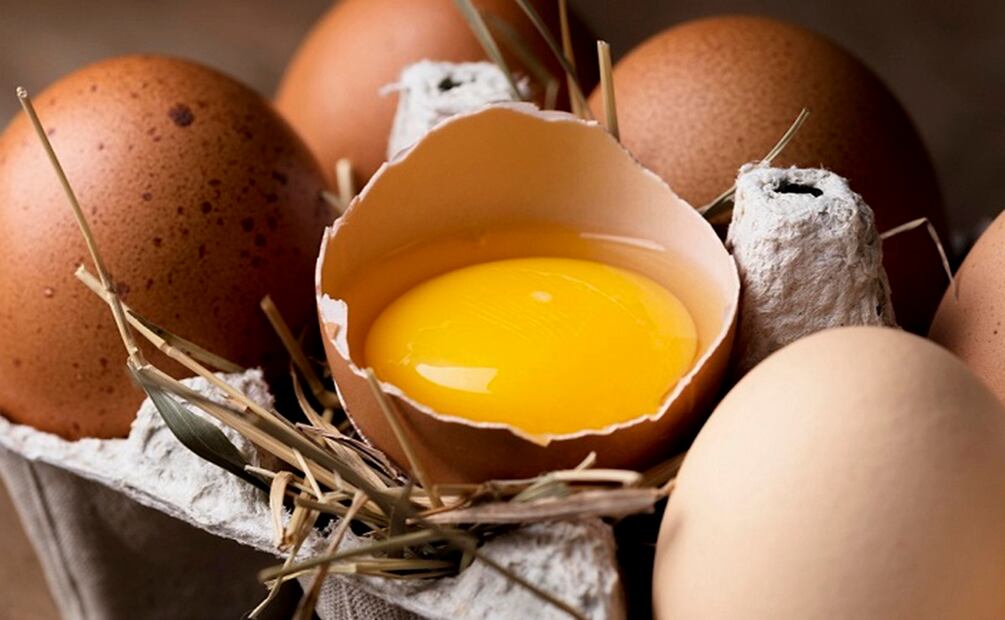 Los huevos son fuente de proteínas y minerales que benefician a nuestro cuerpo. Foto: Freepik