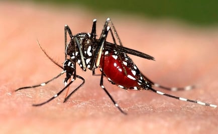 Inicia en Tabasco operativo contra dengue, zika y chikungunya