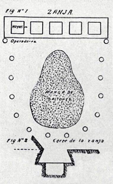 Diagrama sobre zanjas en Tabasco. Desde 1910 se identificó la bacteria Coccobacillus Acridiorum, capaz de infectar mangas. Para los años 20, las autoridades solicitaron a expertos de Francia y Estados Unidos el uso de este microorganismo, aunque EL UNIVERSAL aseguró que sus resultados sólo tenían el 15% de efectividad. Foto: Hemeroteca EL UNIVERSAL.