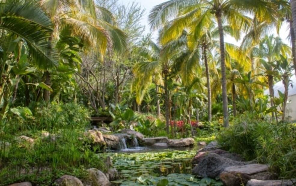 Jardines de México abre por tiempo limitado: 10 cosas qué hacer en tu visita