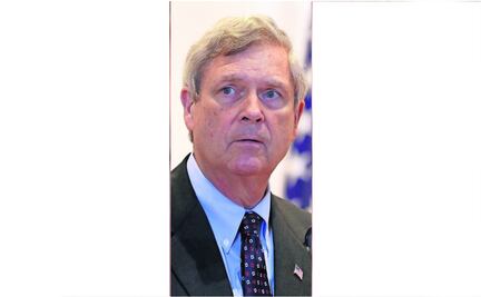 Oro verde genera tensión… otra vez