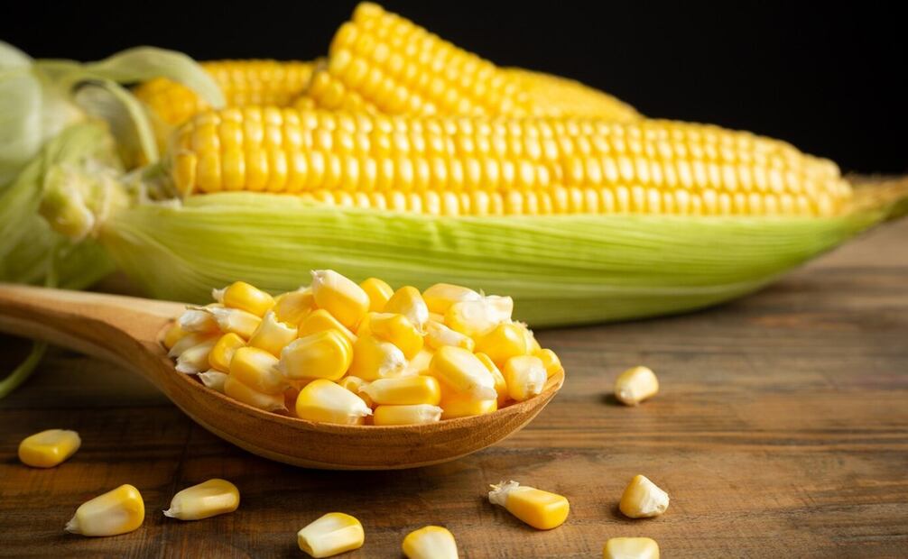 Estas son las contraindicaciones de comer maíz. Foto: Freepik