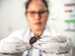 Enfermedad de Chagas, un enorme y silencioso mal