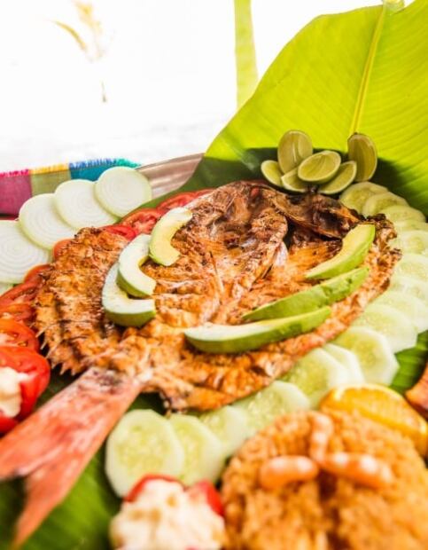15 cosas qué hacer en Valle Nayarit, el nuevo destino turístico