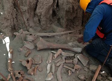 A discovery of epic proportions: Dozens of mammoth remains found in Mexico’s Santa Lucía airport