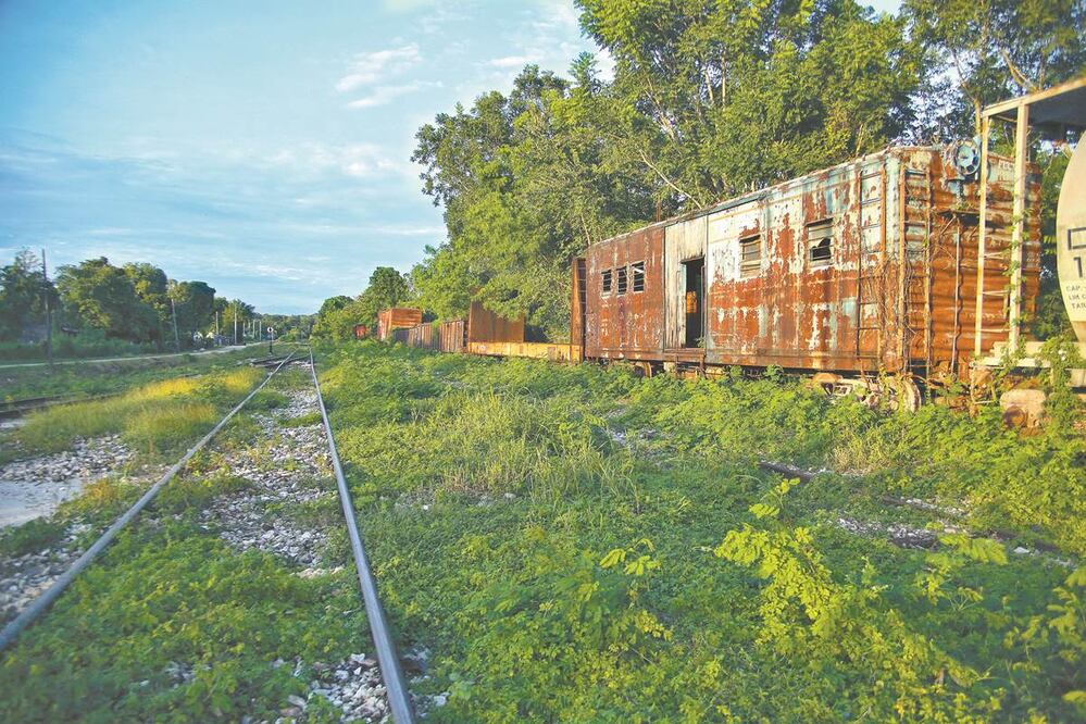 Foto: Archivo EL UNIVERSAL